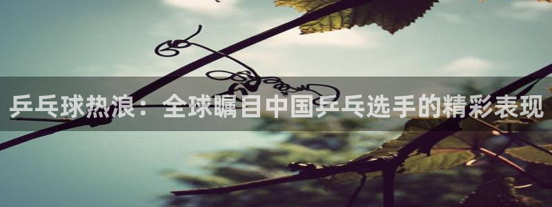 乒乓球热浪：全球瞩目中国乒乓选手的精彩表现