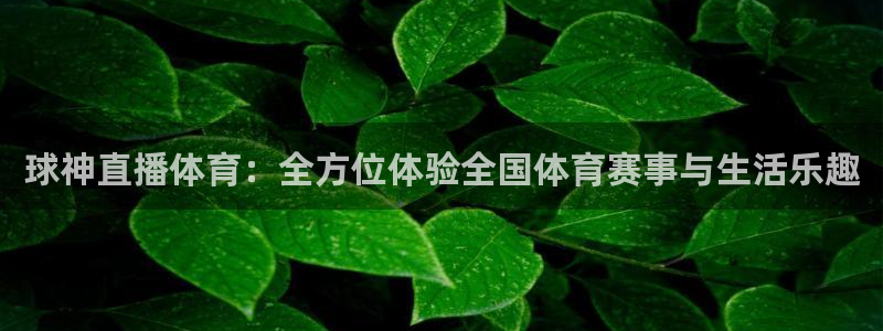 球神直播体育：全方位体验全国体育赛事与生活乐趣