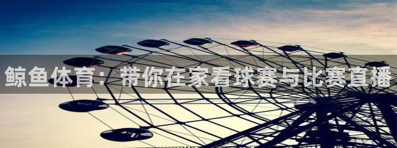 鲸鱼体育：带你在家看球赛与比赛直播